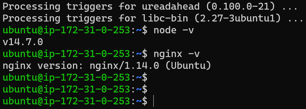 Installing nginx server