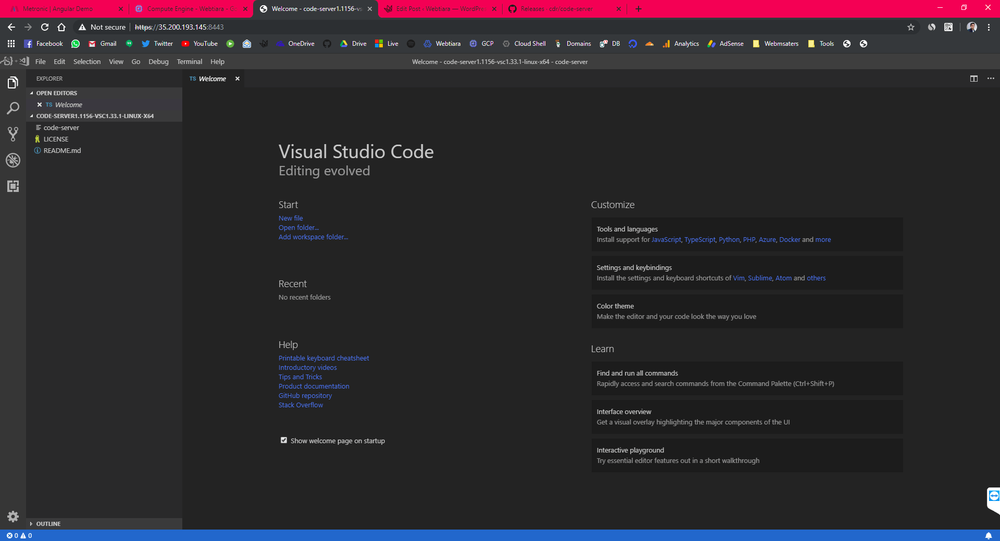 VS Code Editor running a web browser