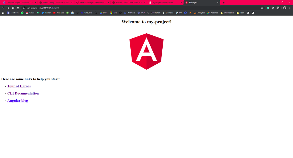 Angular Project live preview